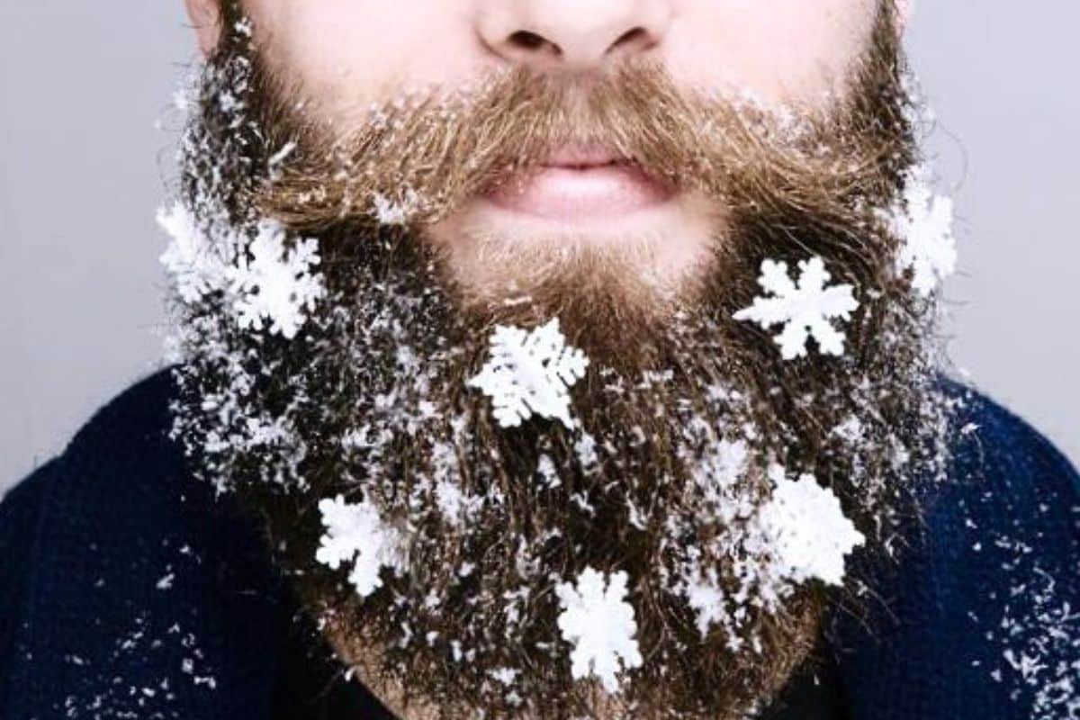 barbe de noel neige